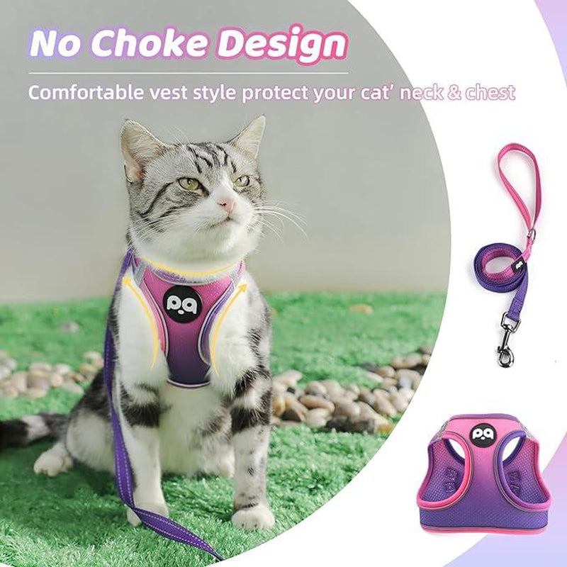 Cat Harness and Leash Set for Walking Escape Proof, Safe Adjustable Kitten Vest with Reflective Strips, Easy Control Soft Mesh Lightweight Jacket