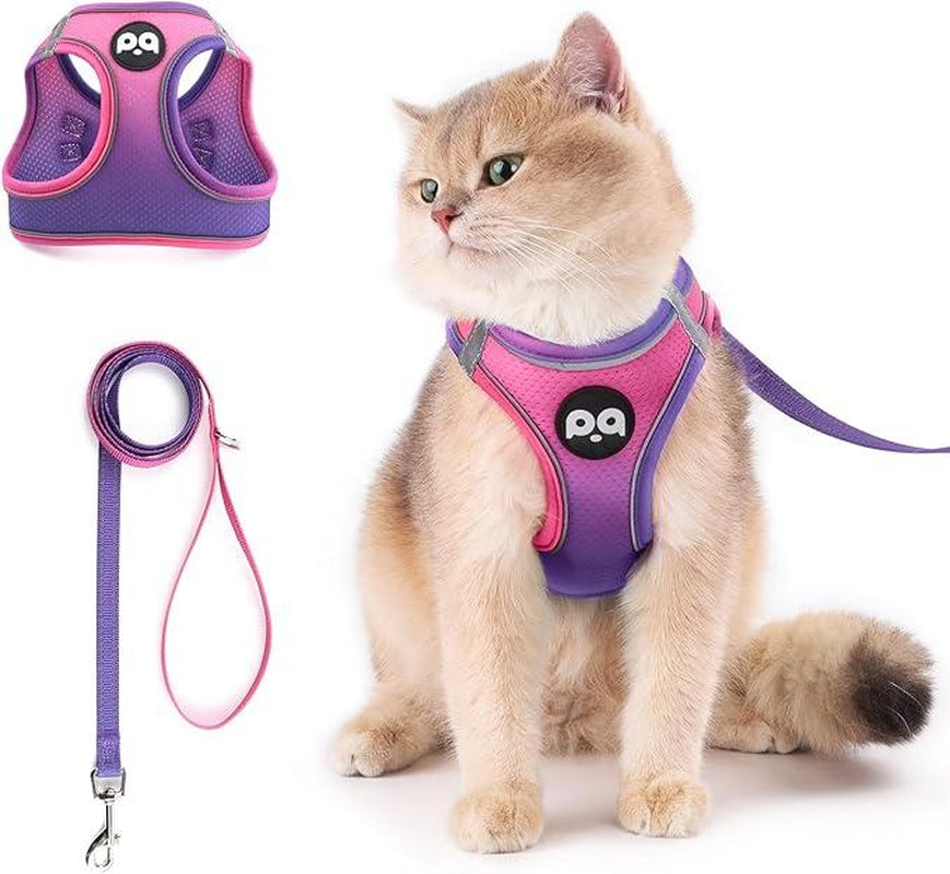 Cat Harness and Leash Set for Walking Escape Proof, Safe Adjustable Kitten Vest with Reflective Strips, Easy Control Soft Mesh Lightweight Jacket