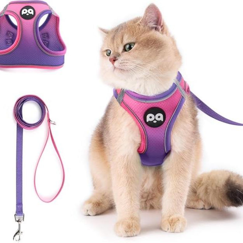 Cat Harness and Leash Set for Walking Escape Proof, Safe Adjustable Kitten Vest with Reflective Strips, Easy Control Soft Mesh Lightweight Jacket