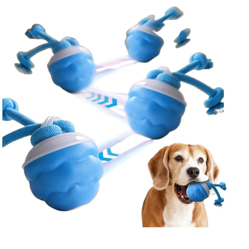Interactive Dog Toys with Motion Activated, Squeaky Dog Toy Active Rolling Ball Wicked Ball for Daily Training,Used for Cats and Dogs, Pet Accessories, Cute Pet Toys