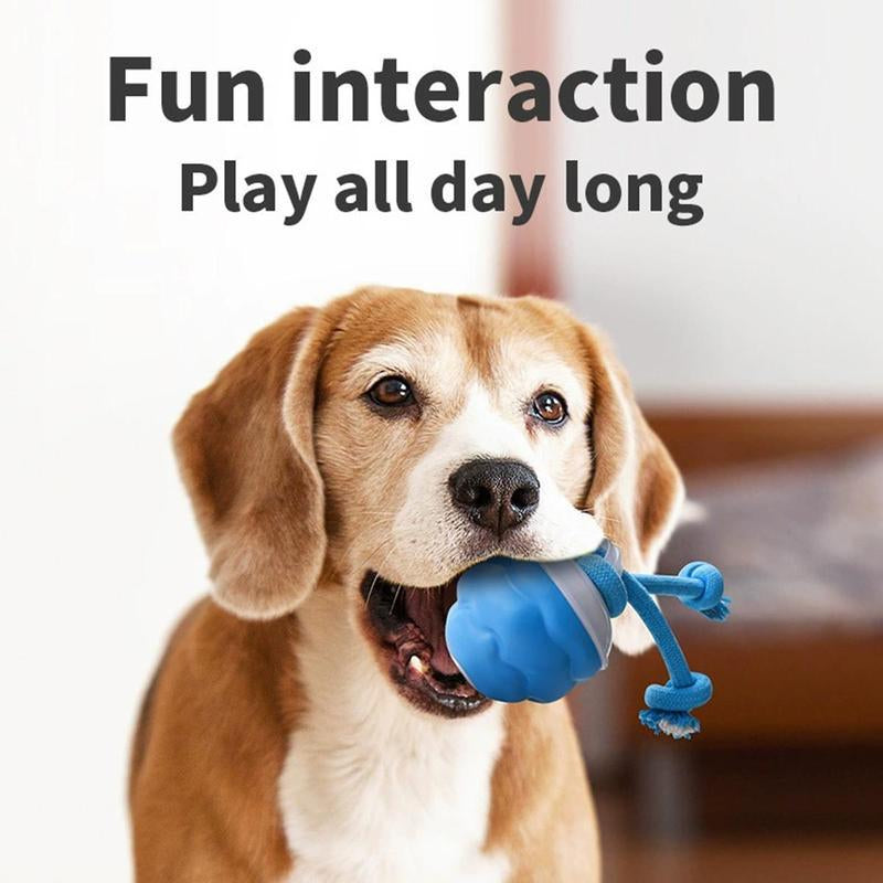 Interactive Dog Toys with Motion Activated, Squeaky Dog Toy Active Rolling Ball Wicked Ball for Daily Training,Used for Cats and Dogs, Pet Accessories, Cute Pet Toys