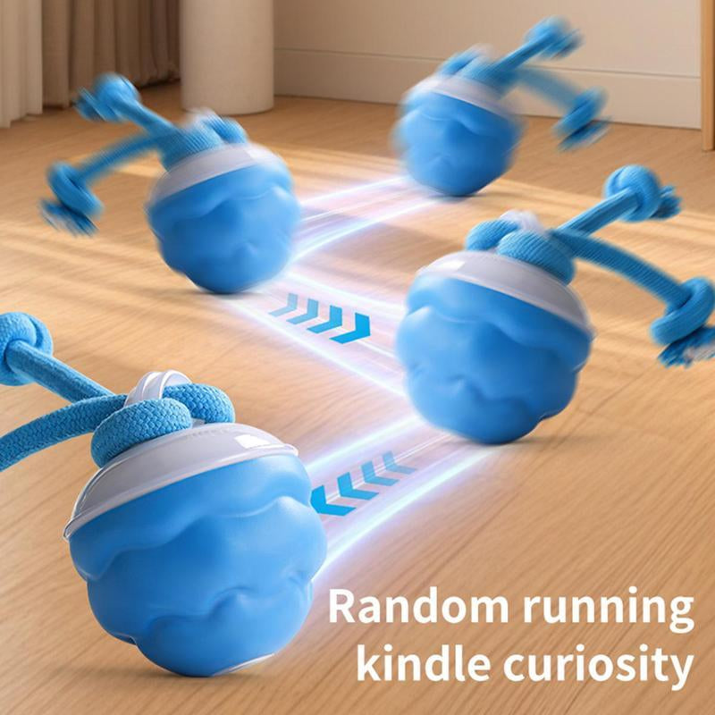 Interactive Dog Toys with Motion Activated, Squeaky Dog Toy Active Rolling Ball Wicked Ball for Daily Training,Used for Cats and Dogs, Pet Accessories, Cute Pet Toys