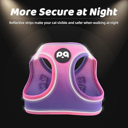 Cat Harness and Leash Set for Walking Escape Proof, Safe Adjustable Kitten Vest with Reflective Strips, Easy Control Soft Mesh Lightweight Jacket