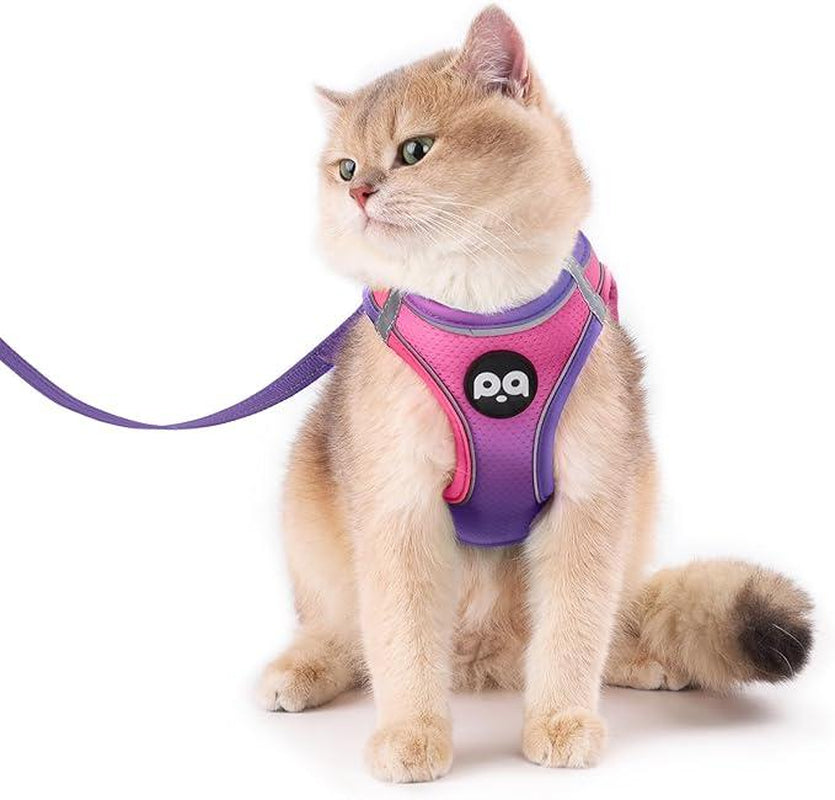 Cat Harness and Leash Set for Walking Escape Proof, Safe Adjustable Kitten Vest with Reflective Strips, Easy Control Soft Mesh Lightweight Jacket